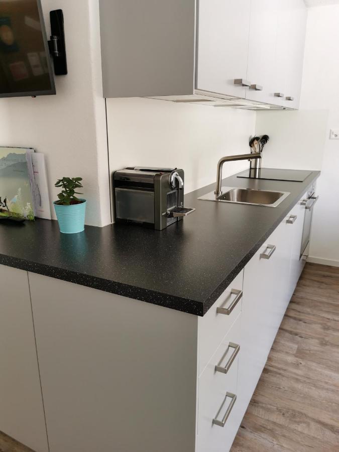 Apartamento Tgesa Dutg Grond Sedrun Exterior foto